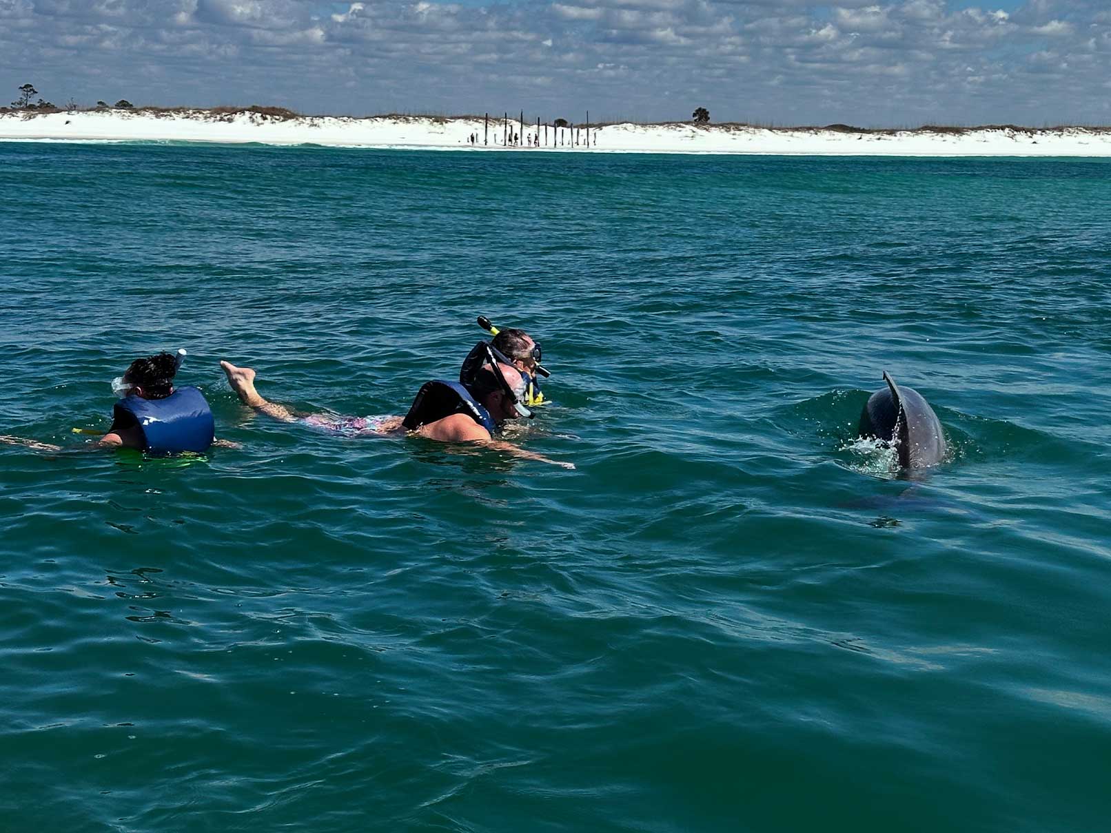 Panama City Beach’s Best Dolphin Tours & Jet Ski Tours 4 heritageex dolphin 1 - Panama City Pontoon Rentals and Jet Ski Tours