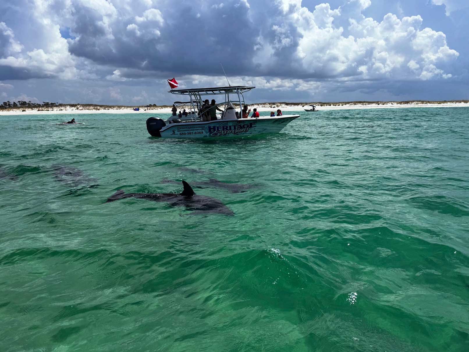 Panama City Beach’s Best Dolphin Tours & Jet Ski Tours 3 heritageex dolphin 2 - Panama City Pontoon Rentals and Jet Ski Tours