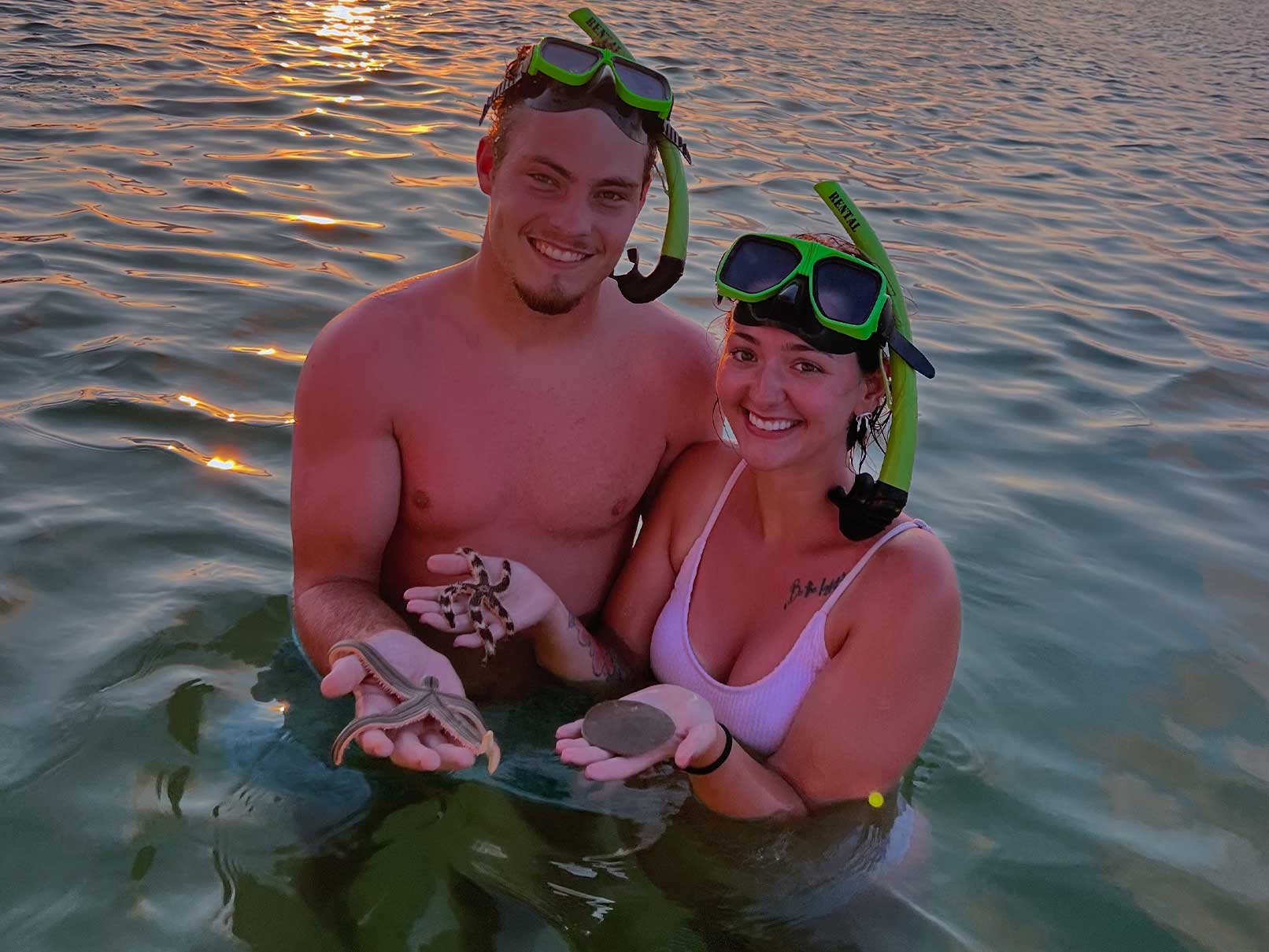 heritageex dolphin 3 - Panama City Pontoon Rentals and Jet Ski Tours